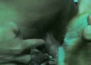 Puppy railed by a thick cock